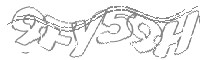 Check code