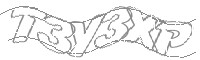 Check code