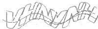 Check code