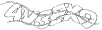 Check code